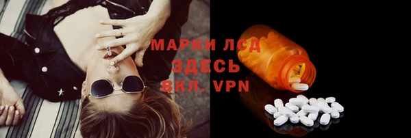 винт Алзамай