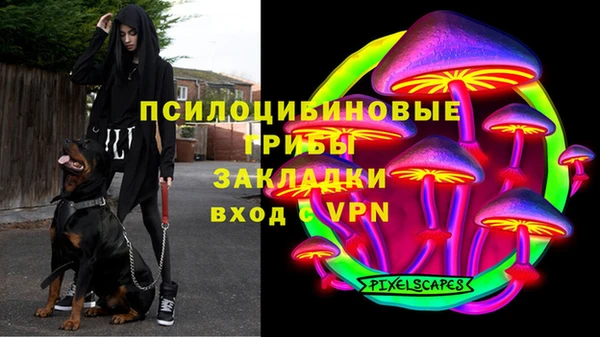 винт Алзамай