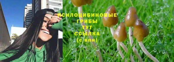 каннабис Абаза